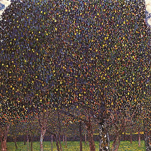 pear-tree-1903